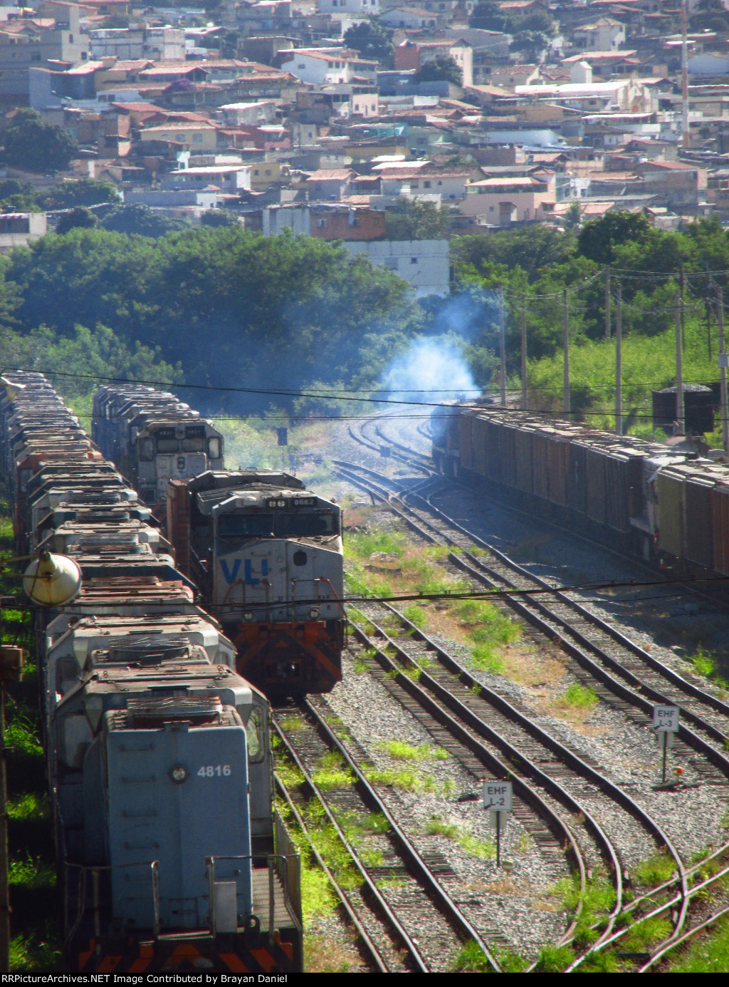 VLI 4816